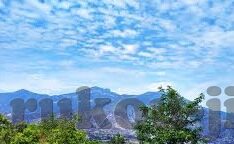 足球比分直播14场-探秘足球比分直播14场，激情、策略与数据的狂欢盛宴